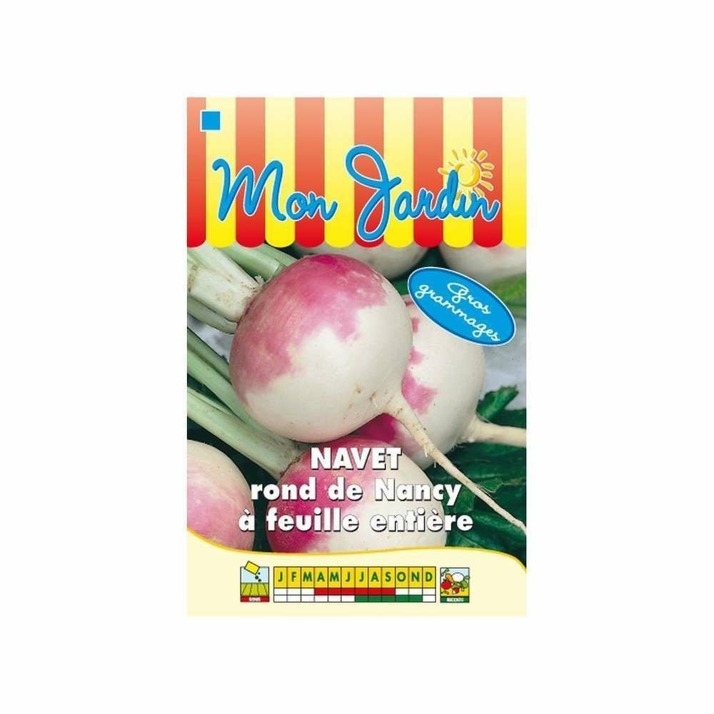 Graines de navet de nancy à feuille entière gros grammage