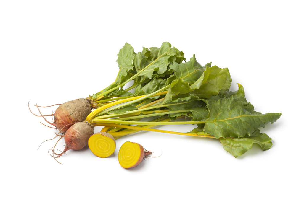 Sachet de graines de betterave burpee's golden - sachet de 2 grammes - petite entreprise française - made in france