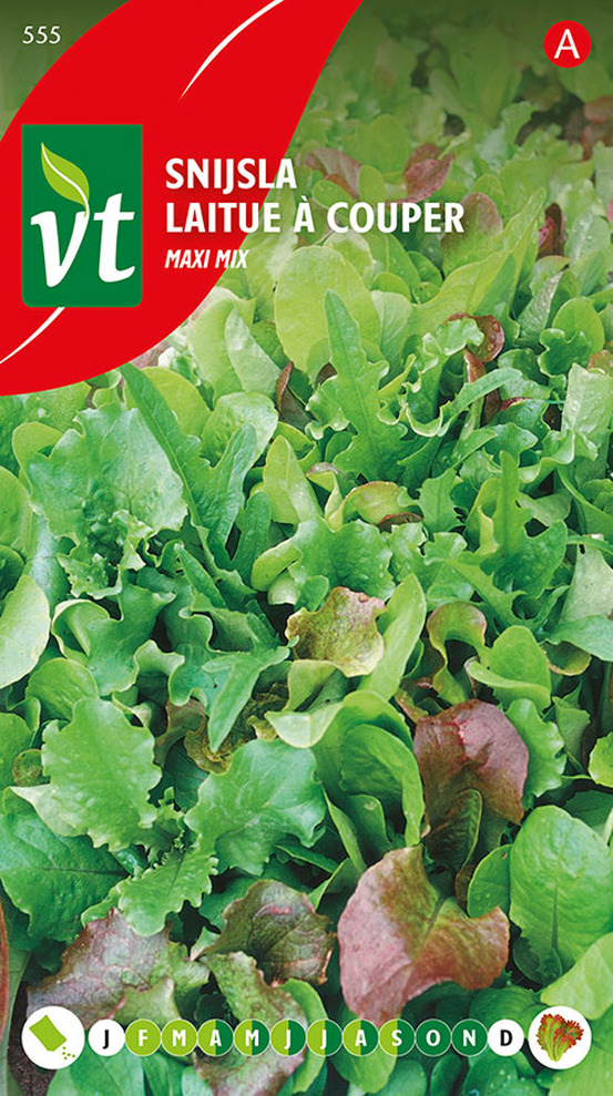 Laitue a couper maxi mix - ca. 4 gr (livraison gratuite)