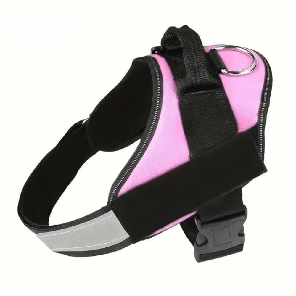 Harnais violet xs pour chien, francecroquettes