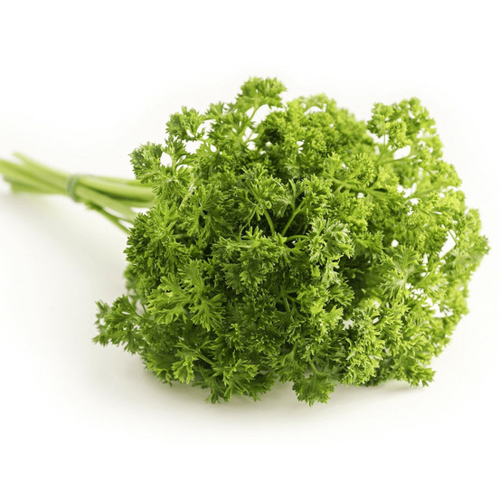 Persil frisé afrodite - prêt à consommer pot de 1,5l - 10/20 cm