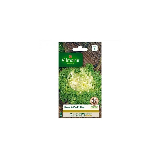 Sachet graines chicorée frisée de ruffec