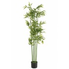 Bambou en plastique vert 56x56x170 cm