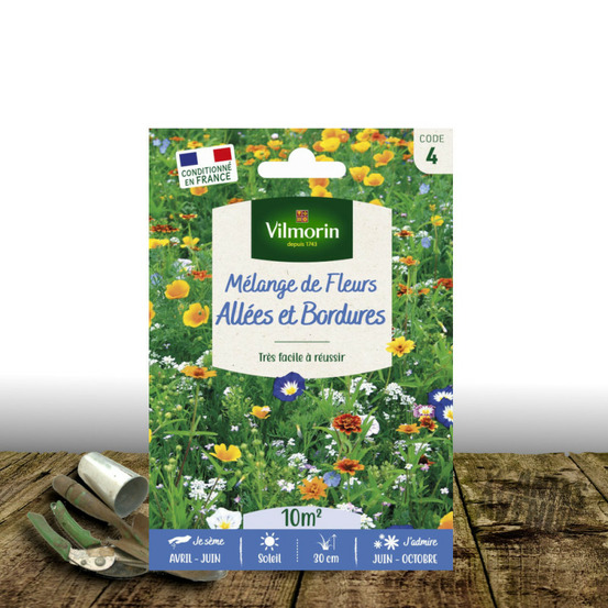 Graines en mélange de fleurs - fleurs couvre-sol, allées et bordures sachet - 10 m²