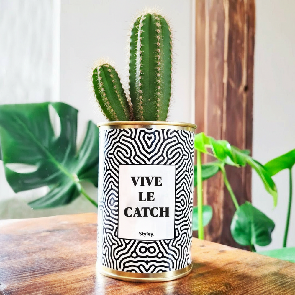 Plante personnalisée - vive le catch - cactus