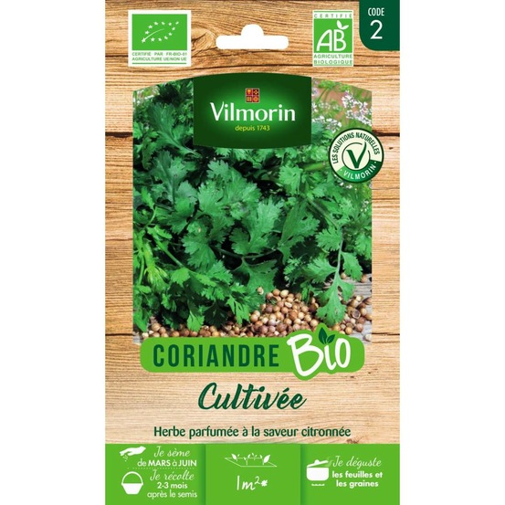Sachet graines coriandre cultivée bio - coriandrum sativum
