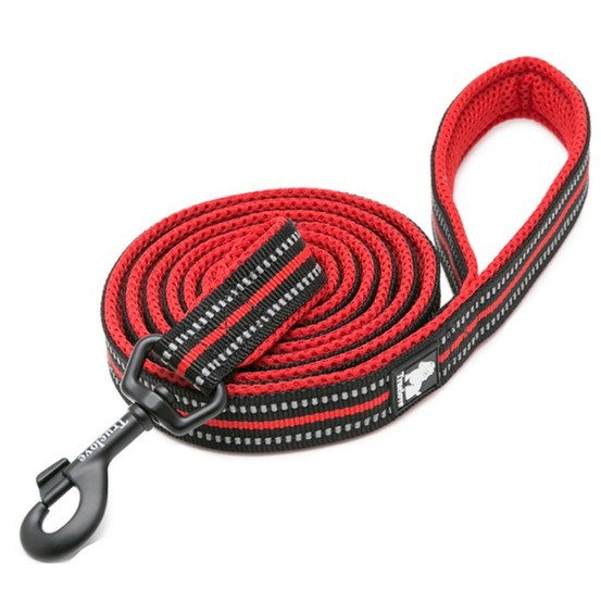 Laisse chien walk assortie au harnais truelove country plus - 200 cm - Rouge
