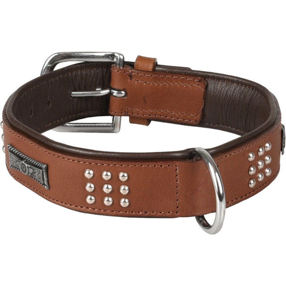 Collier cuir sedona brun taille l 39-45 cm pour chien.