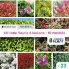 Kit haie fleurie 4 saisons - 10 variétés – lot de 23 plants en godet
