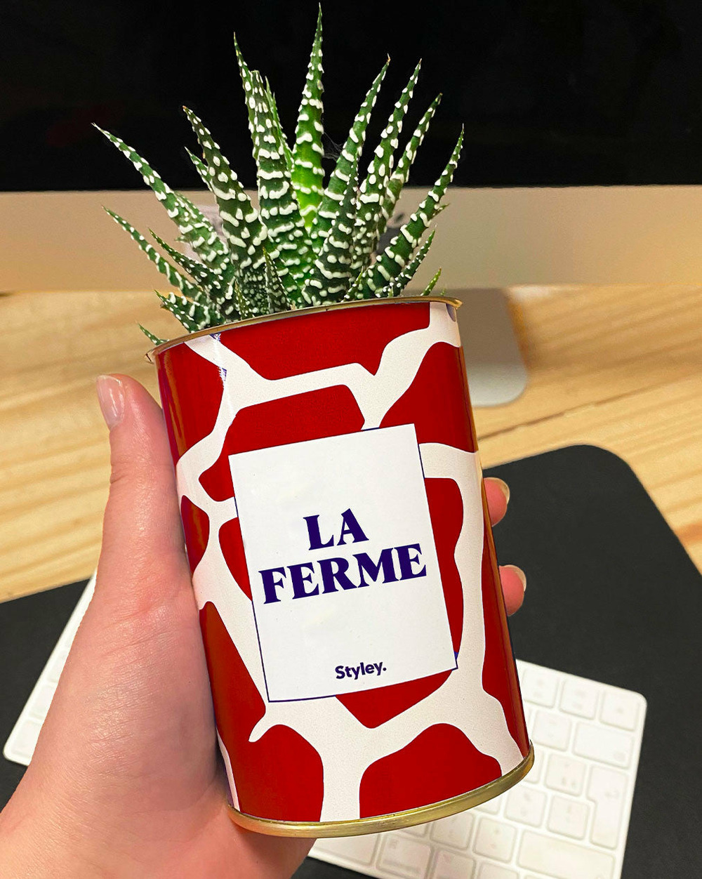 Plante personnalisée - la ferme - cactus