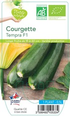 Courgette tempra f1   -plant ab  en  pot 0.5 l- plante du jardin
