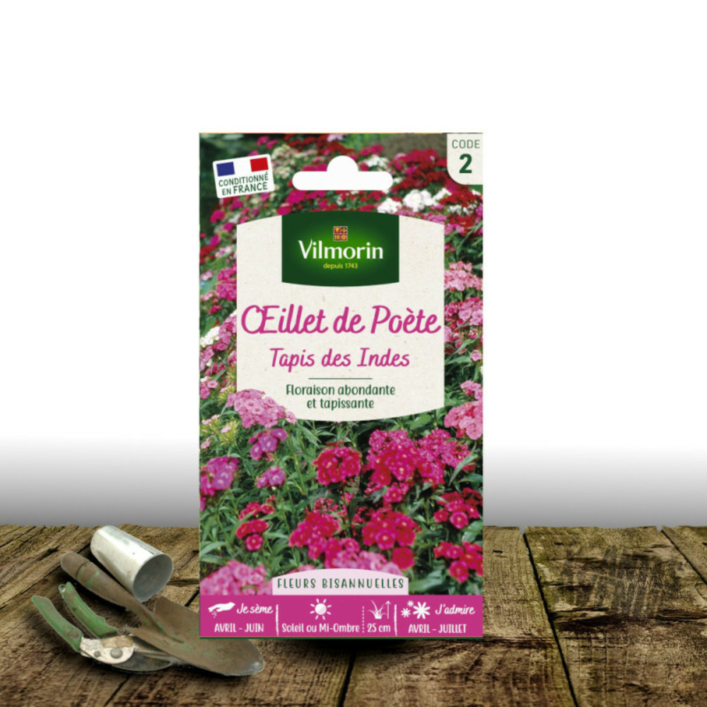 Graines d'oeillet de poète tapis des indes - vilmorin sachet