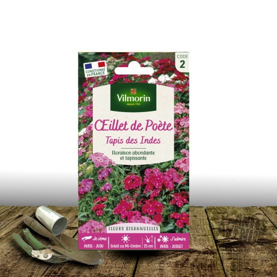 Graines d'oeillet de poète tapis des indes - vilmorin sachet