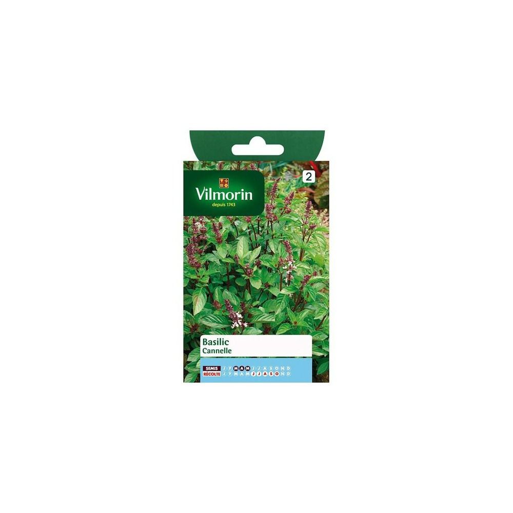 Sachet graines basilic cannelle