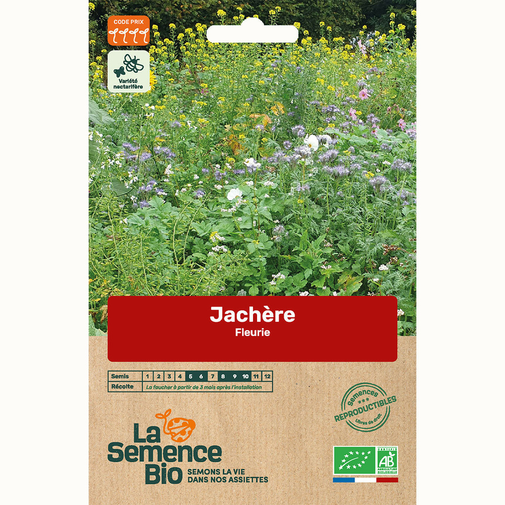 Jachère fleurie - graines bio