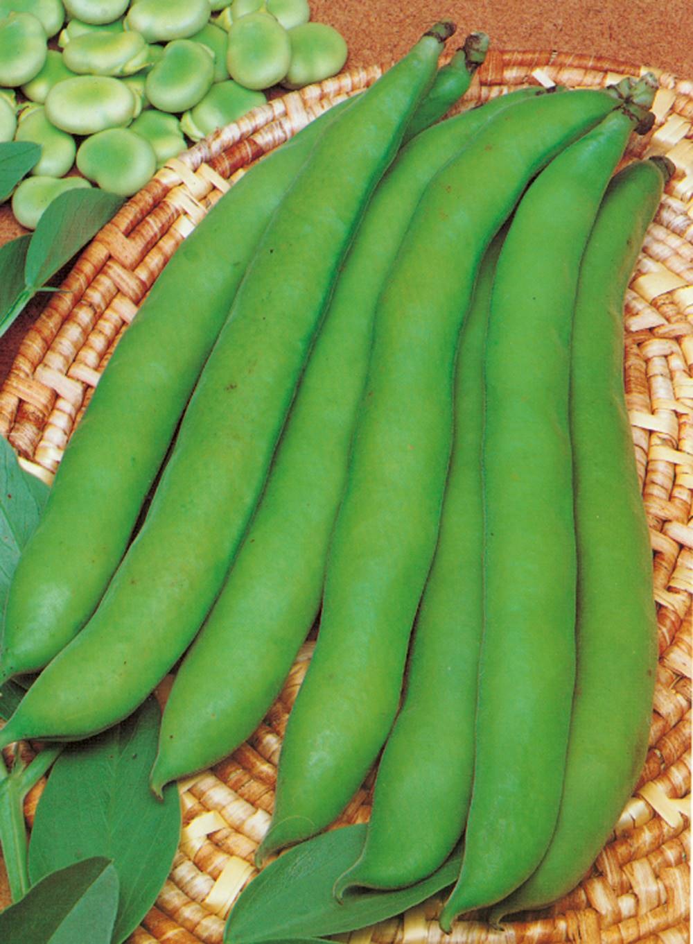 Feve d aguadulce - 150 g