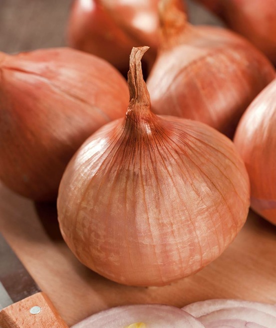 Oignon keravel rose - 500 g