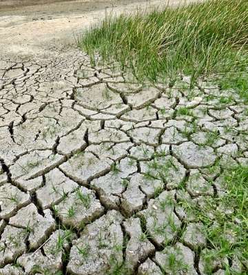 le jardin face aux changements climatiques