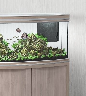 changement d'eau aquarium