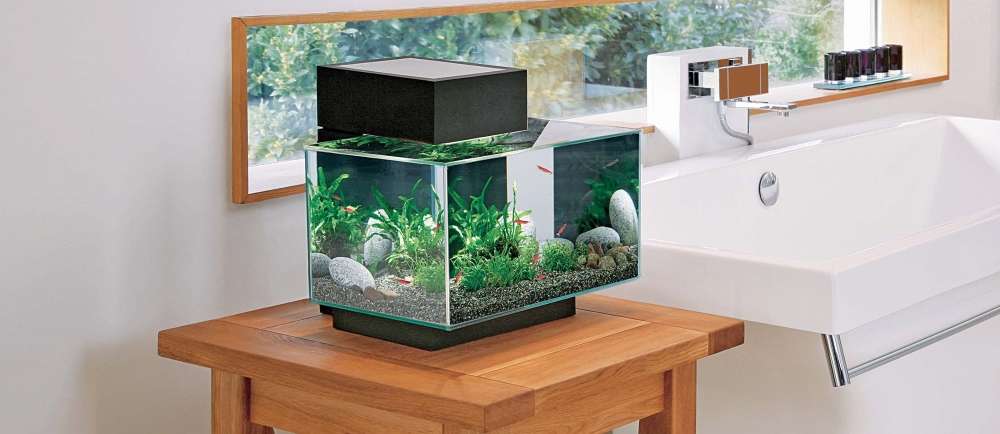 Quel chauffage choisir pour son aquarium ?