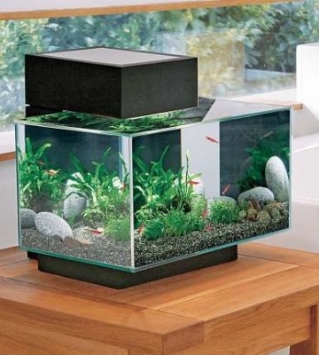 chauffage aquarium