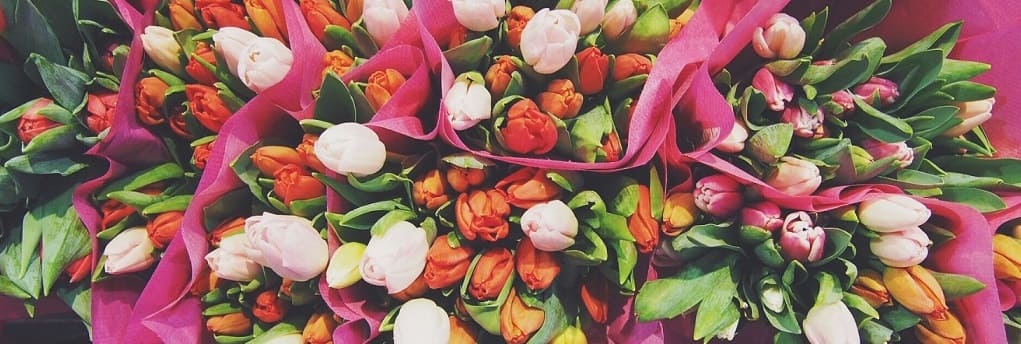 bouquet tulipes