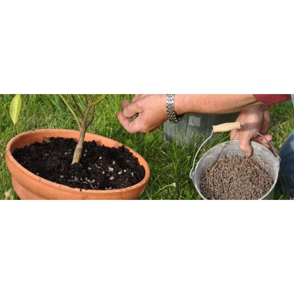 engrais pot jardinage