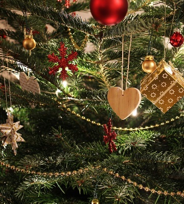 comment choisir un sapin de noël ?