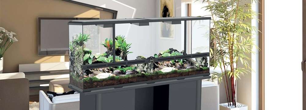 choix d'un terrarium en fonction du reptile