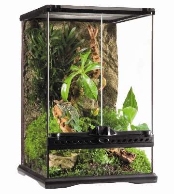 choisir un terrarium pour reptile