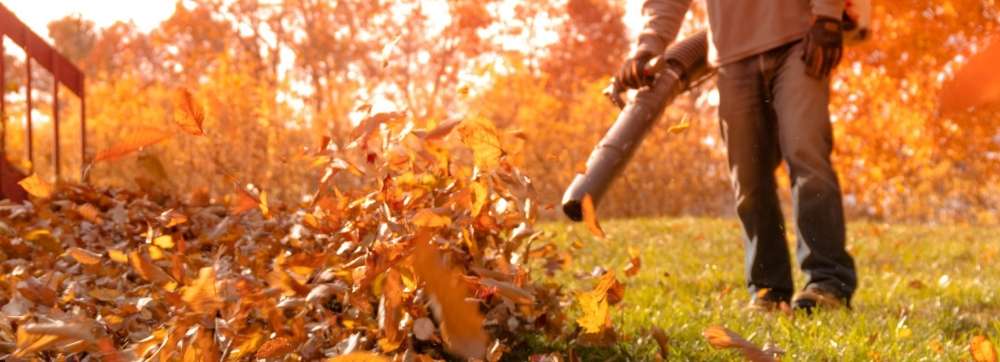 Outils pour ramasser les feuilles mortes au jardin - Truffaut 