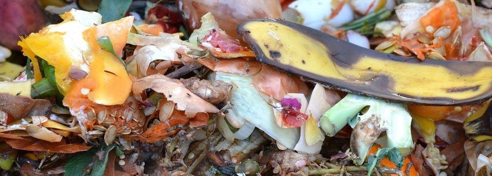 compost