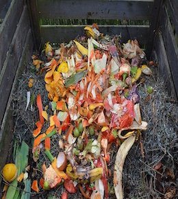 compost déchet humide
