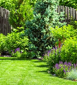 conseils coupe bordure