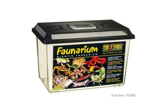 Faunarium - 37 x 22 x 24.5 cm pour reptiles