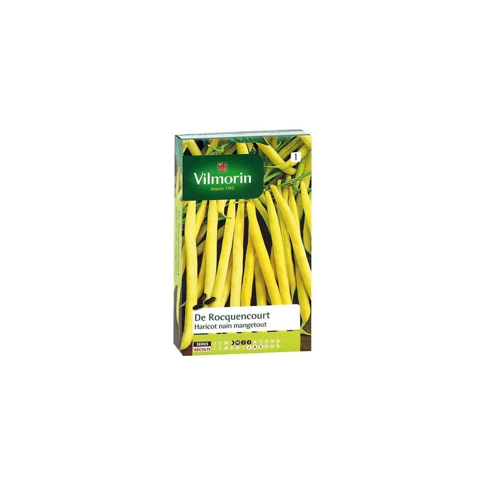 Graines de haricot nain mangetout de rocquencourt