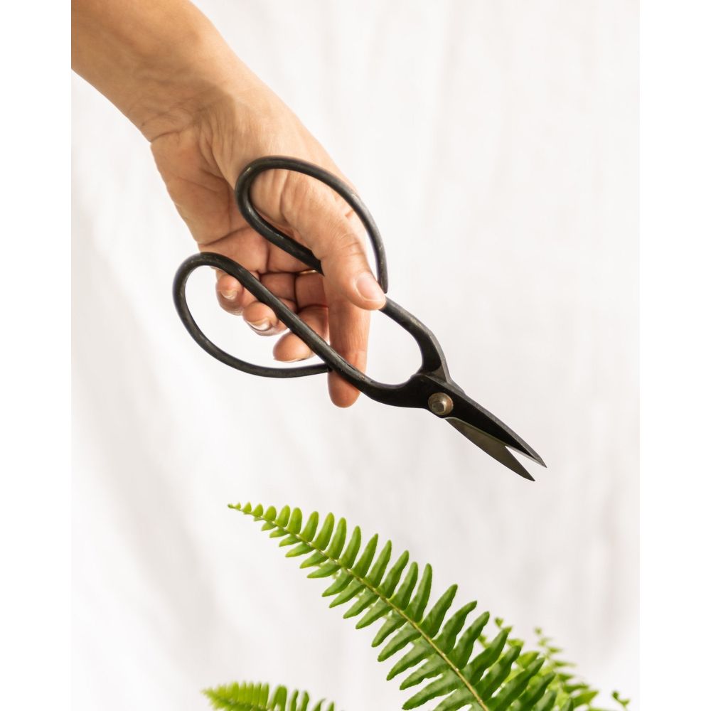 Ciseaux Bonsaï Japonais Gakin Acier Inox 18 Cm - Outil Précis Jardinage