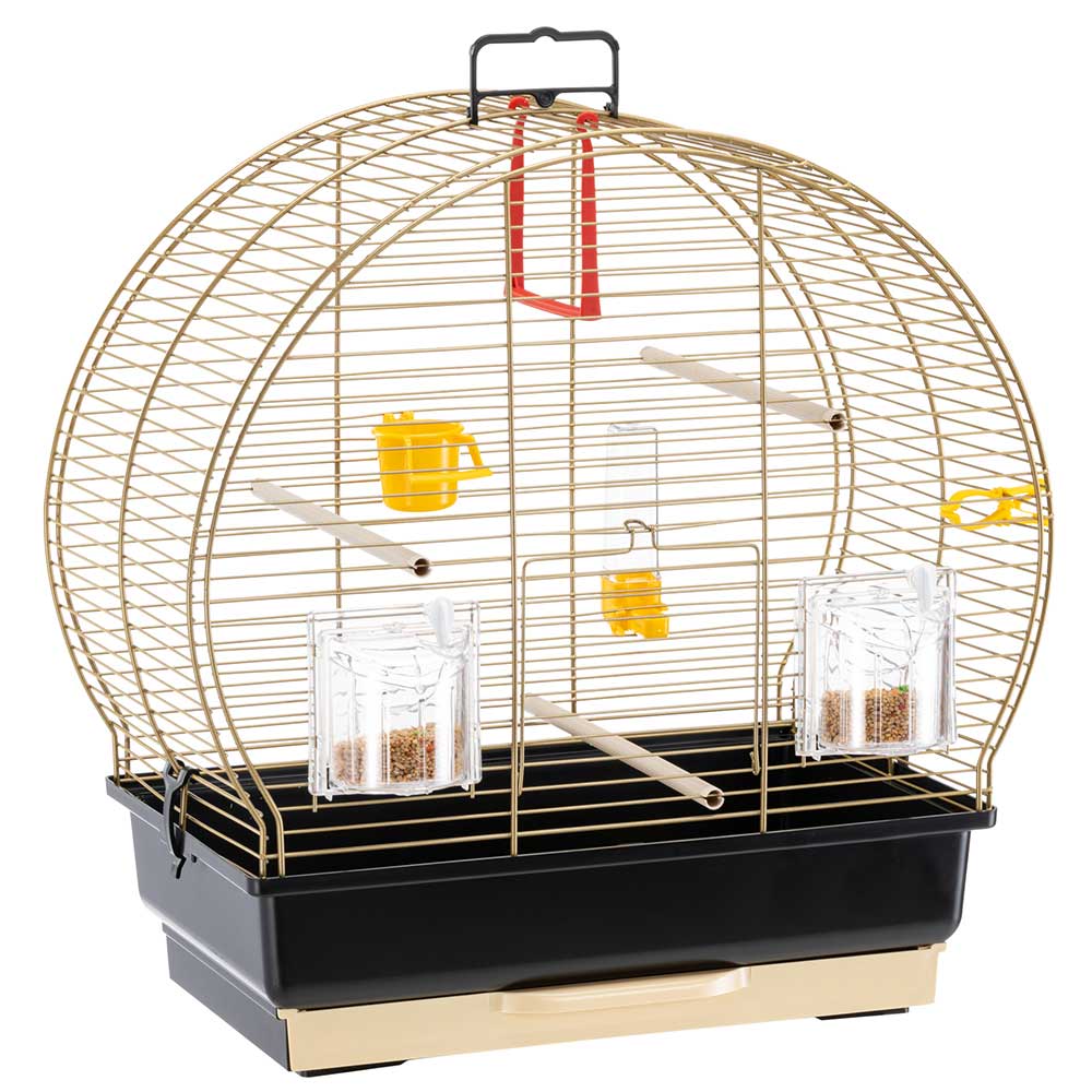 Ferplast Cage Oiseau PIANO 4, Cage Canari Oiseaux, avec Mangeoires,  Abreuvoir pour Oiseaux, 59 x 33 x h 55 cm, avec Accessoires, Plateau  Amovible
