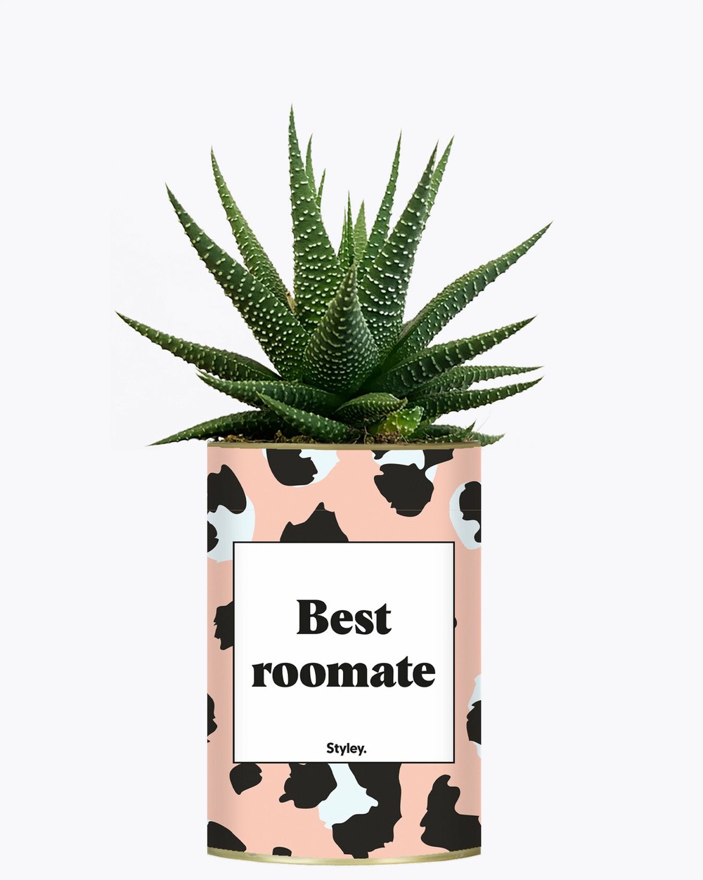 Idée cadeau - best roomate - cactus