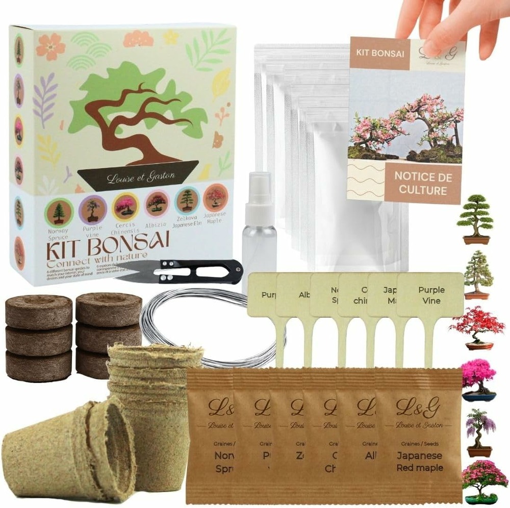 L&G | Kit Bonsai Intérieur Complet – Idée Cadeau Jardinage avec 6 Graines à Faire Pousser et Accessoires de Qualité