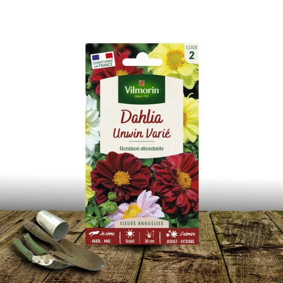 Graines de dahlia unwin variés - vilmorin sachet