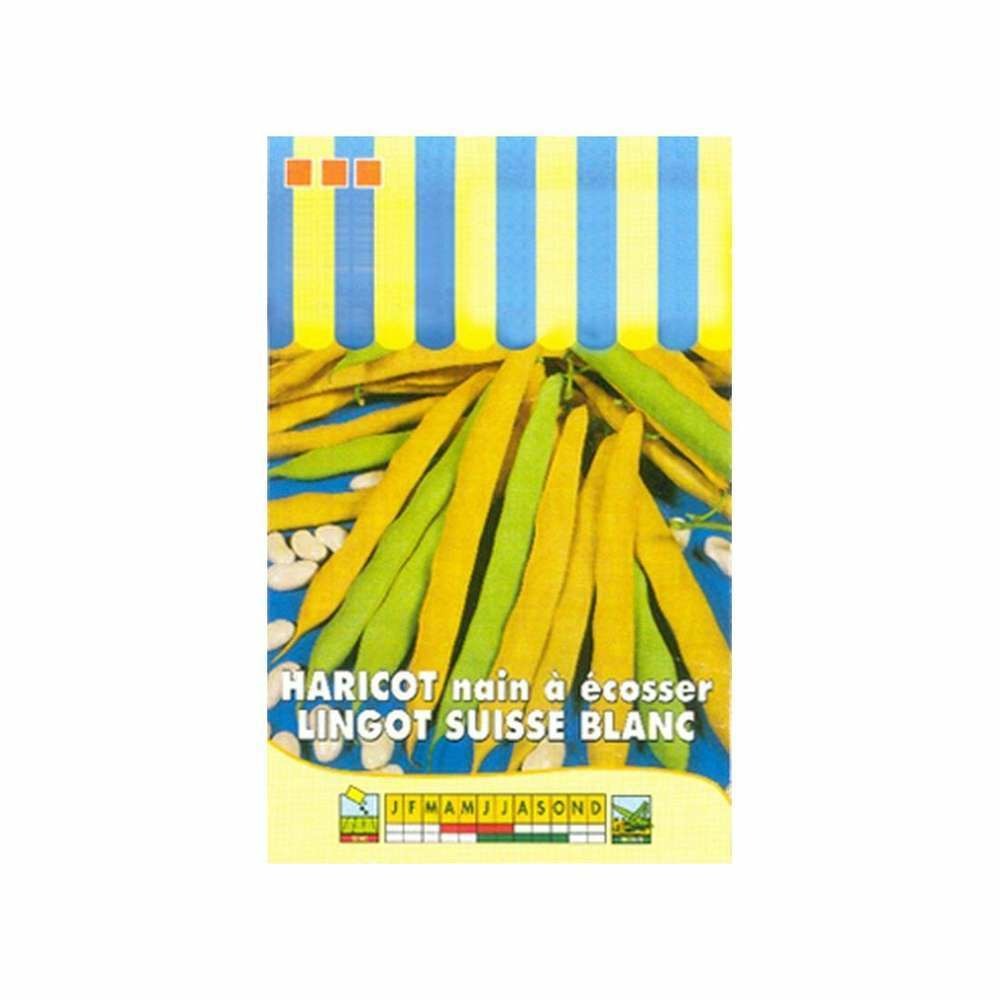 Graines d'haricot nain à écosser lingot suisse blanc 150g