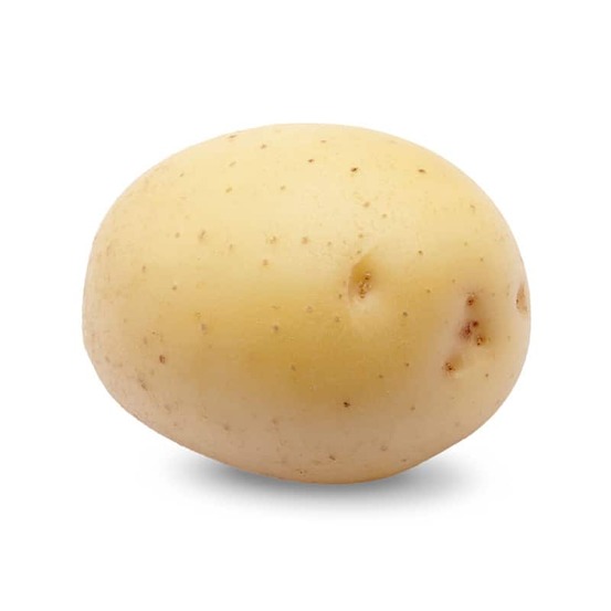 Colomba 100 plants de pomme de terre