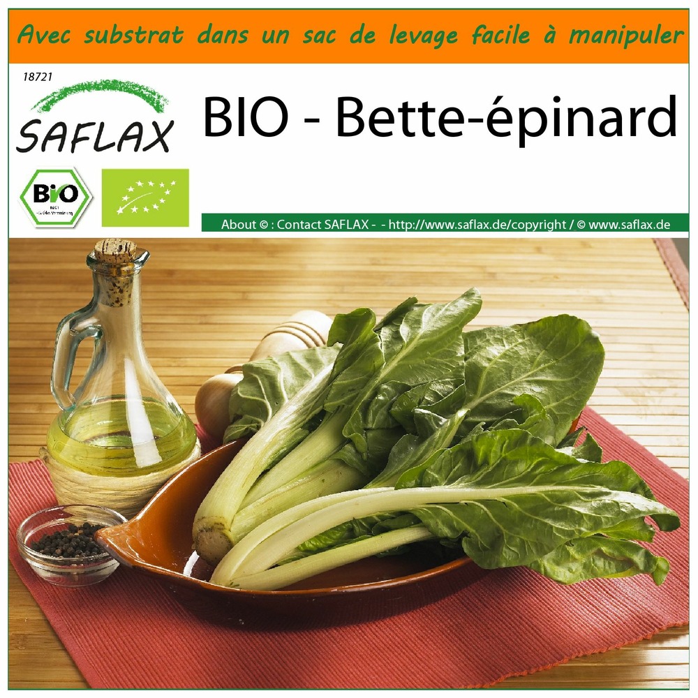 Garden in the bag - bio - bette-épinard - 150 graines - beta vulgaris subsp. Vulgaris