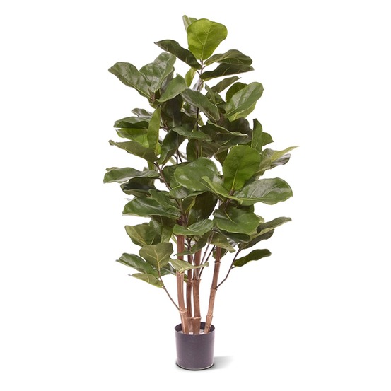 Royal lyrata plante artificielle de 105 cm