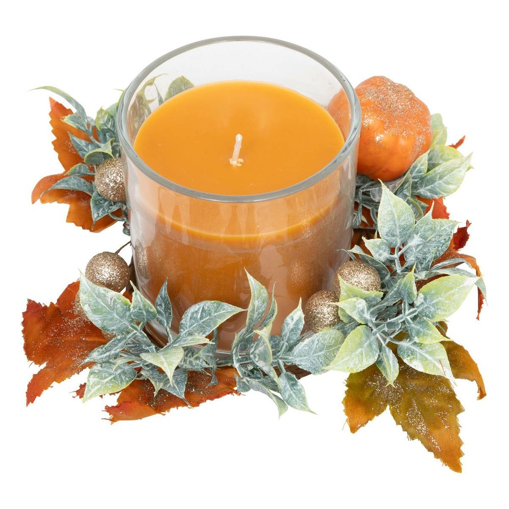 Bge pfm cdt automne 210g