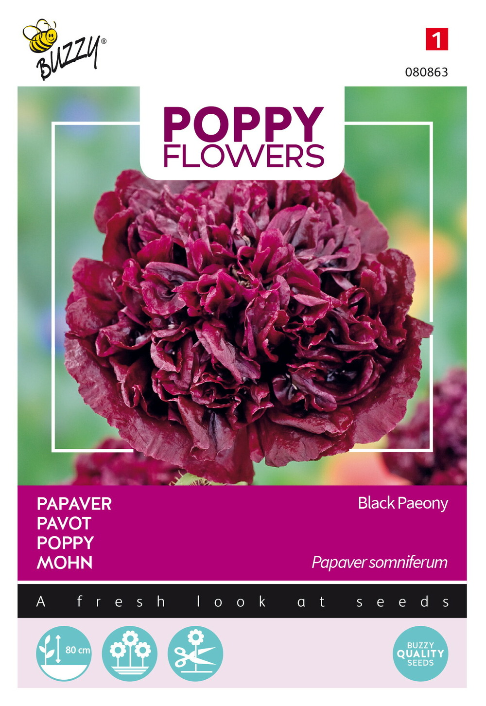 Buzzy poppy flowers, pavot black paeony - ca. 0,08 gr (livraison gratuite)