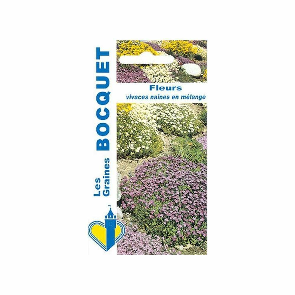 Fleurs naines vivaces en mélange