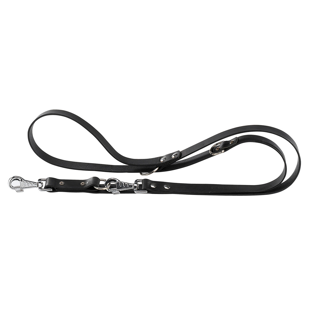 Laisse de dressage chien chiens en cuir noir ou naturel ferplast