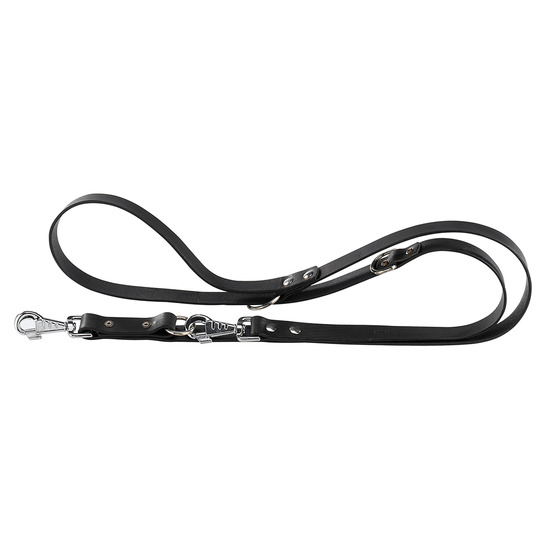 Laisse de dressage chien chiens en cuir noir ou naturel ferplast